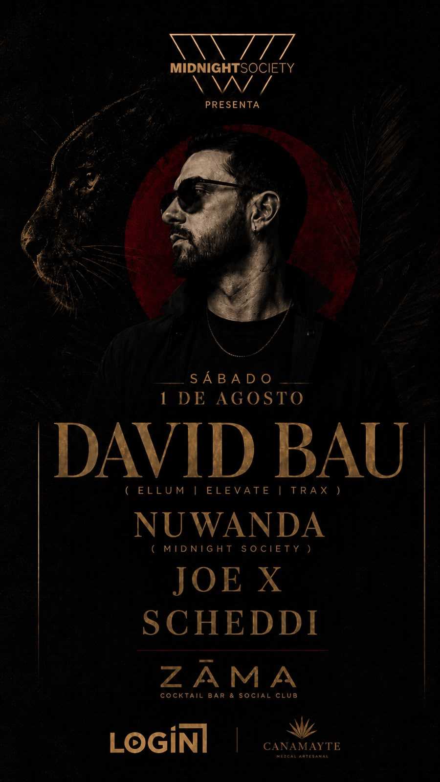 DAVID BAU x MIDNIGHT SOCIETY 
