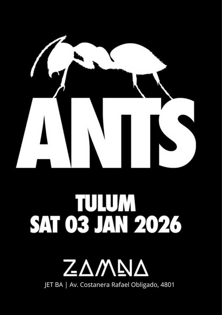 ANTS BY ZAMNA 