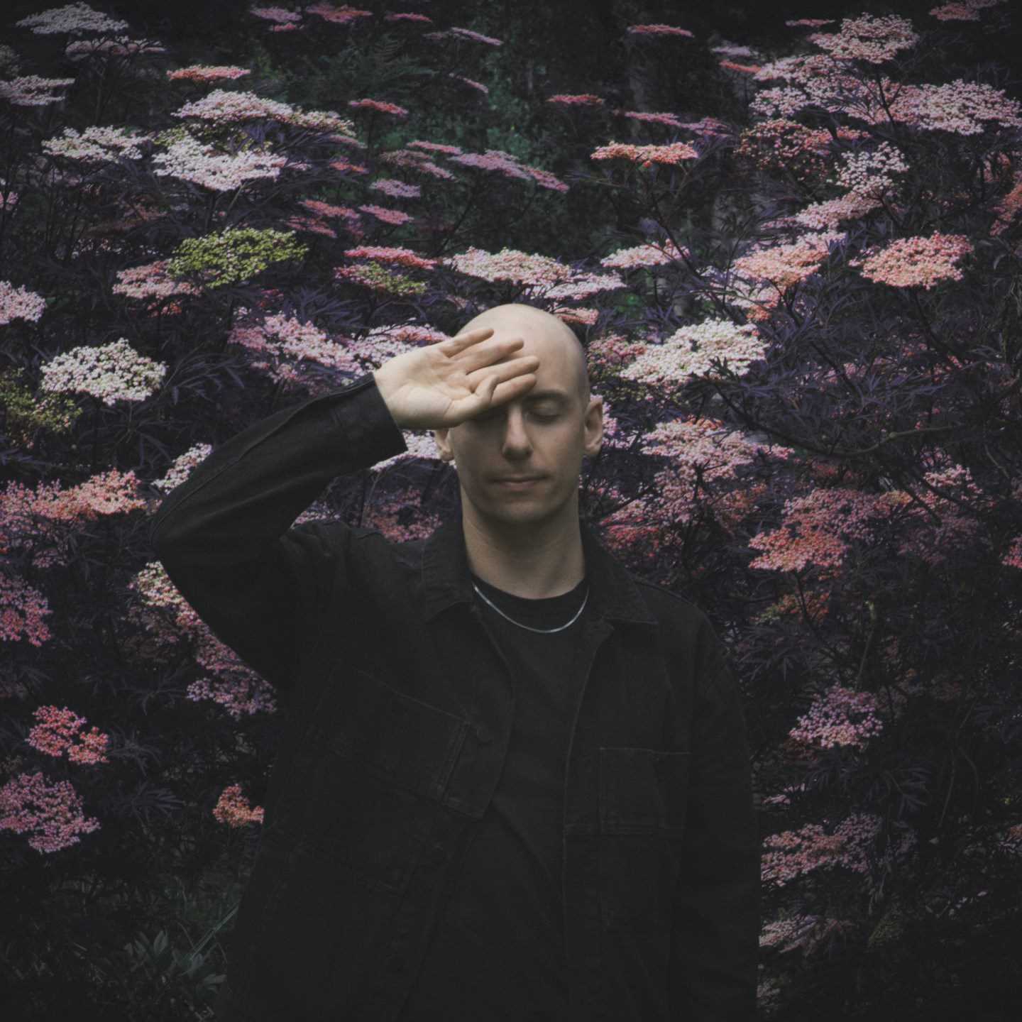 Palms Trax
