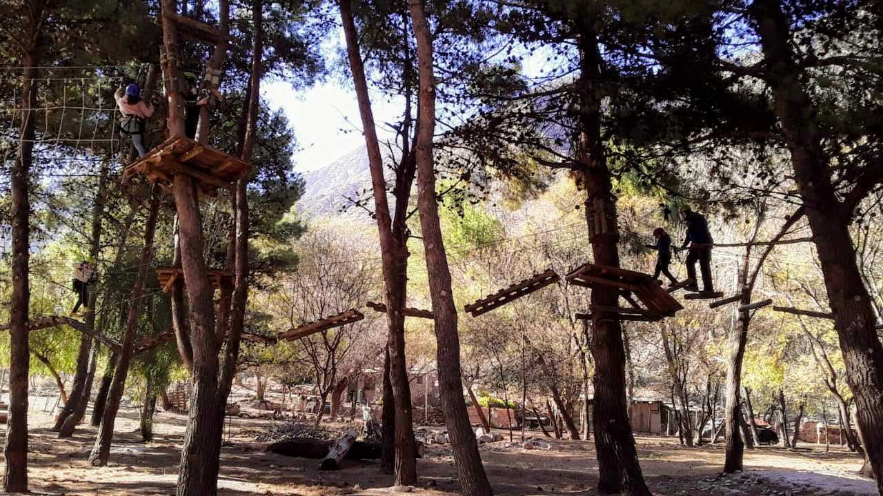 Bosque Cacheuta
