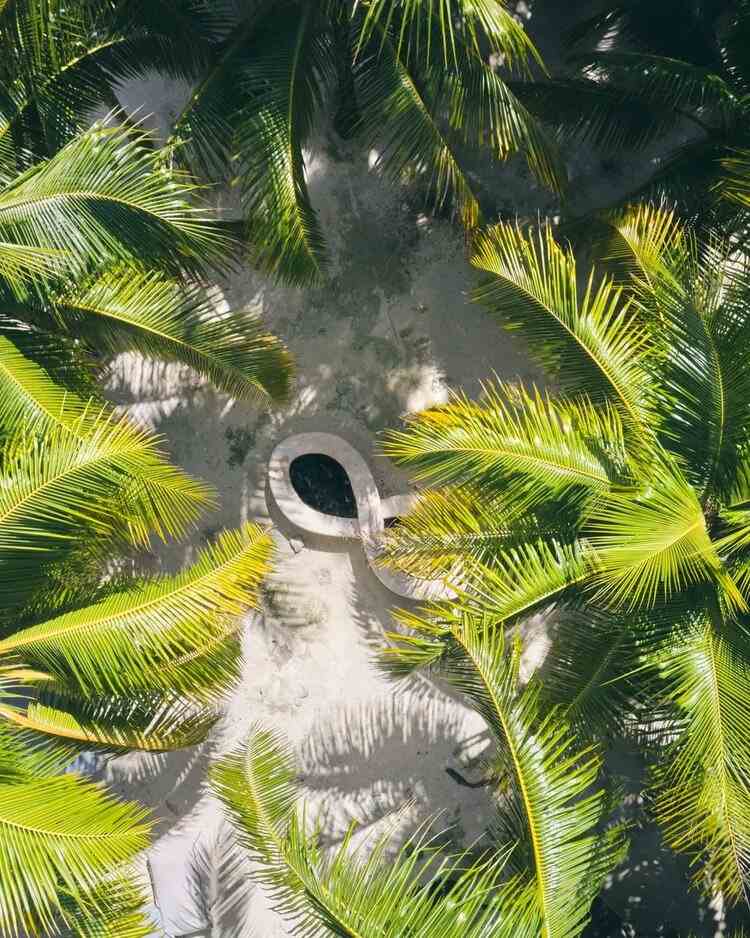 VESICA TULUM