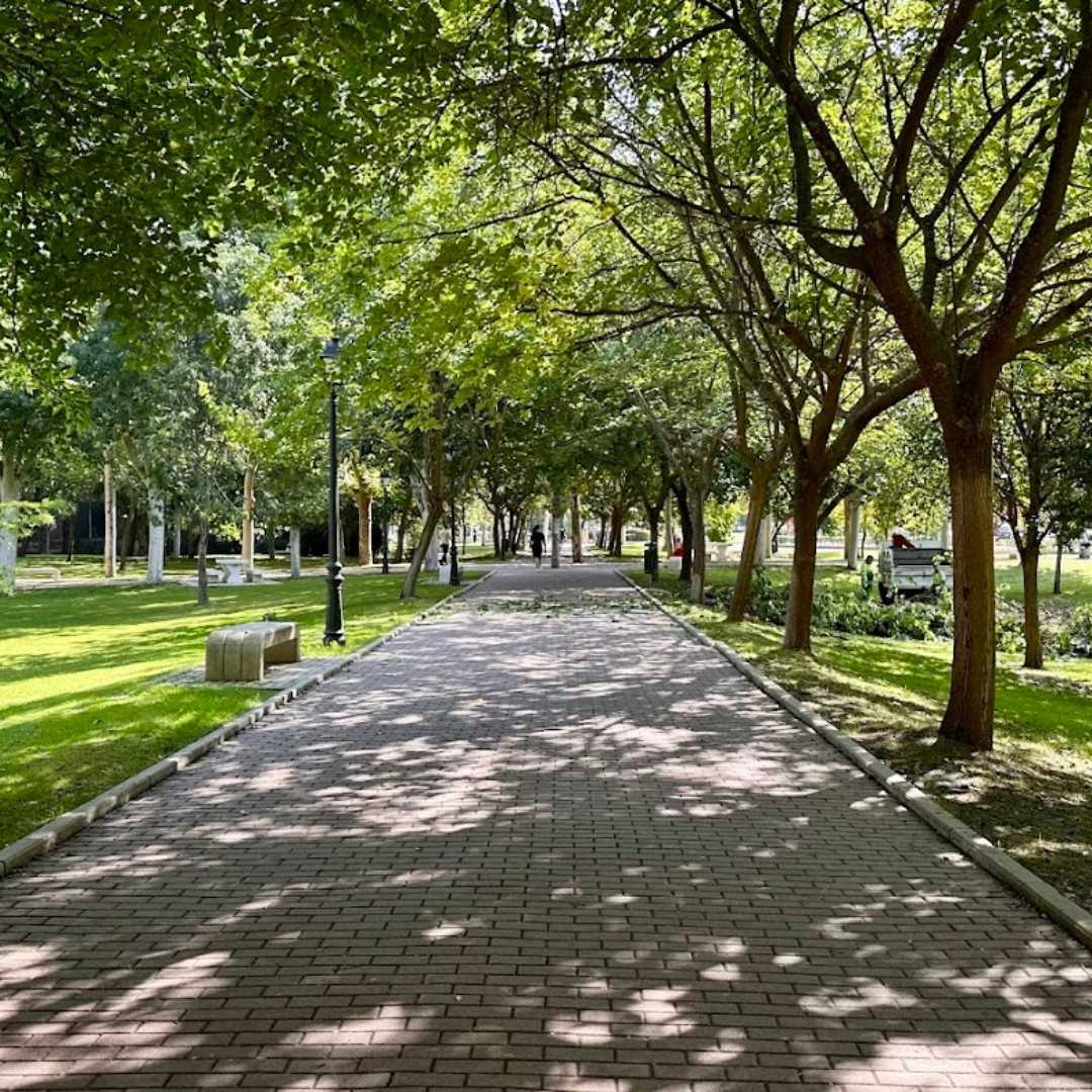 Universidad Autonoma de Madrid 