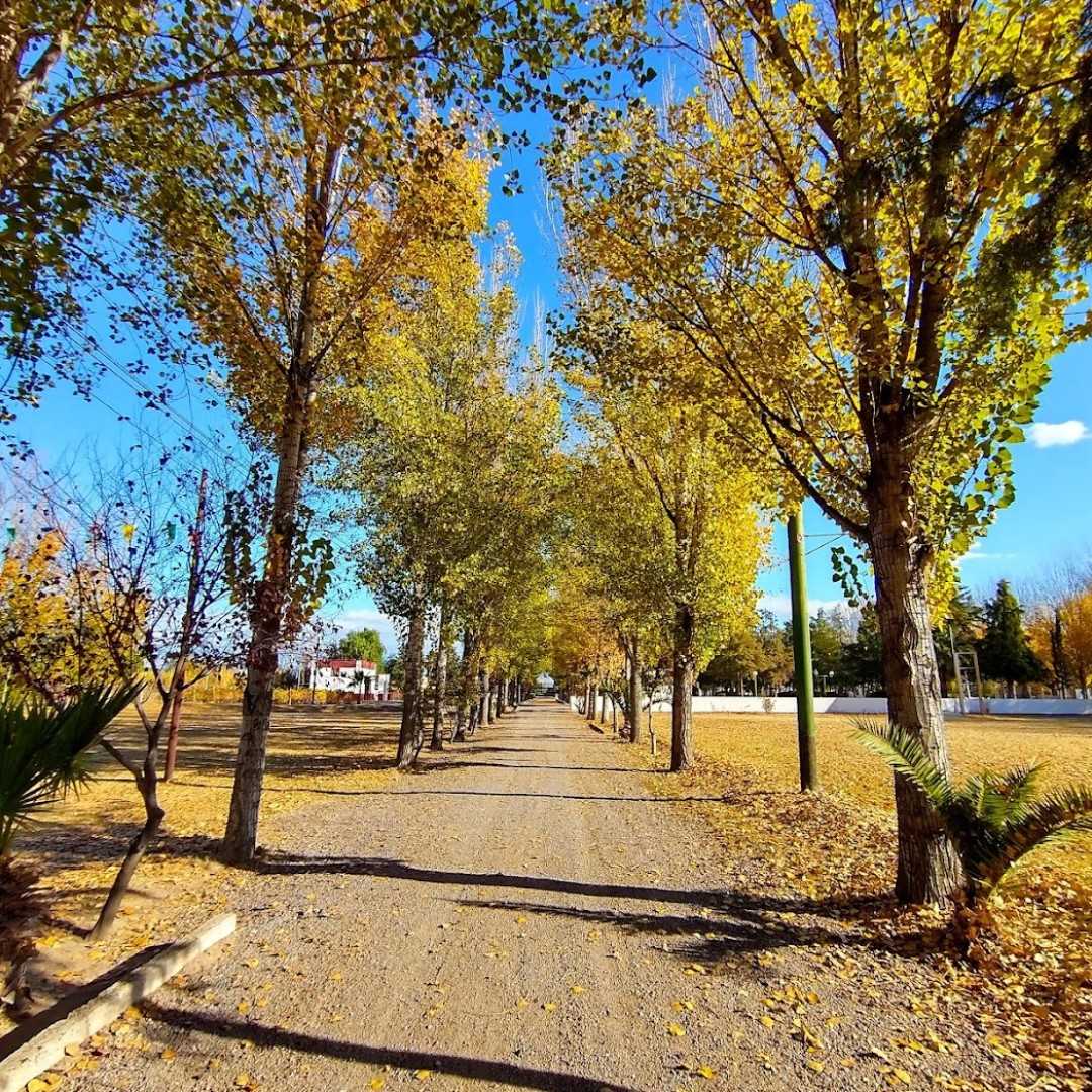Parque Dueño del Sol